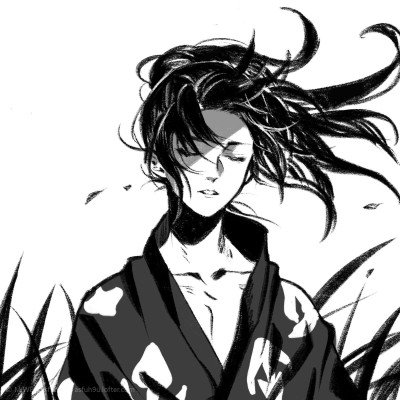 洁丽雅家族